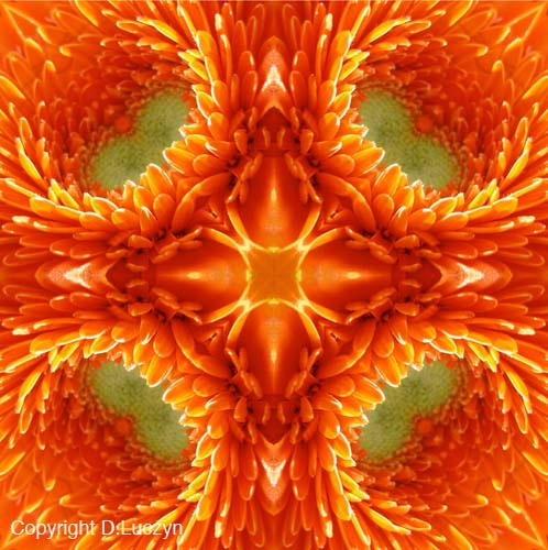 Mandala13