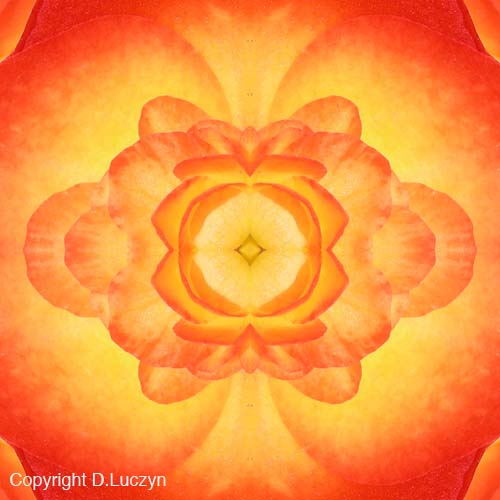 Mandala1b