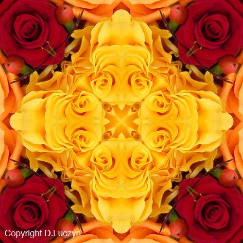 Mandala21