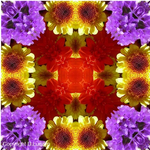 Mandala6b