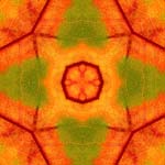 Mandala11