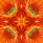 Mandala13