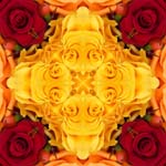 Mandala21