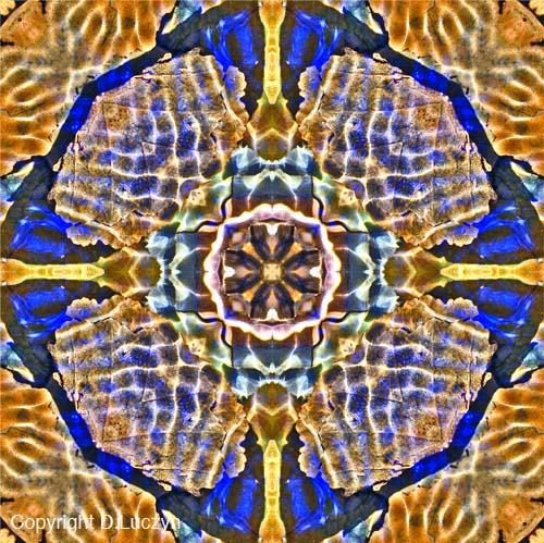 Mandala29b