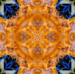 Mandala28
