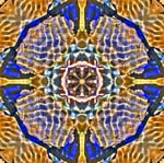 Mandala29b