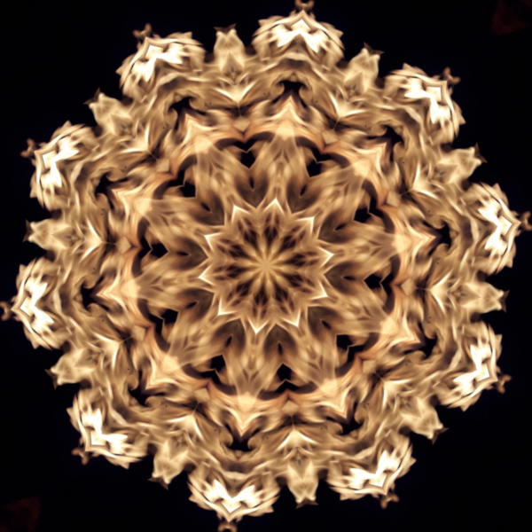 2019-08-27_22.57__2_.jpg