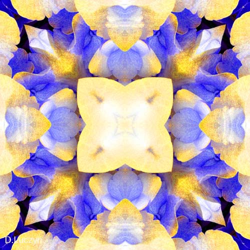 Mandala40b