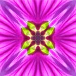 Mandala37