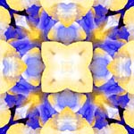 Mandala40b