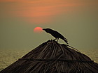 dscn4099.jpg