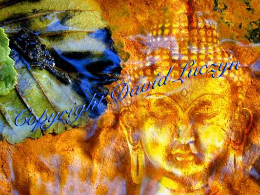 buddhablatt