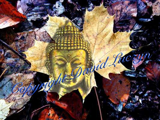 buddhablatt3