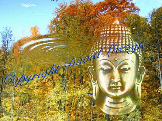 buddhasee2