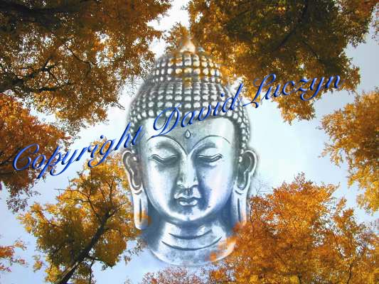 buddhatree