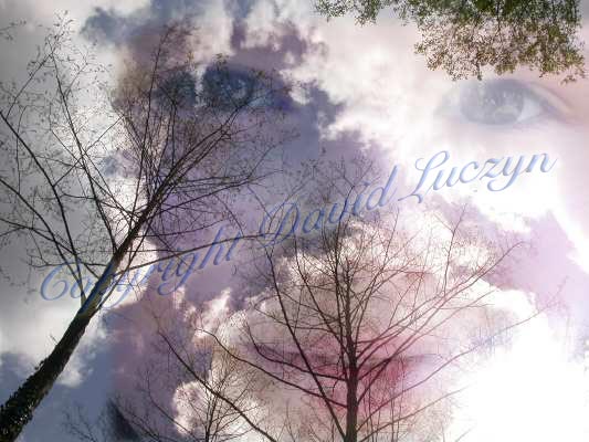 wolkenfee1