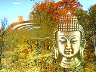 buddhasee2