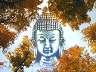 buddhatree