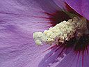 dscn0003