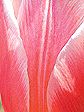 dscn0017