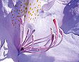 dscn0054