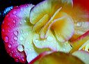 dscn0076
