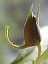 dscn0088