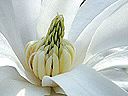 dscn0092