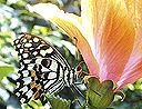 dscn0231