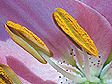 dscn0659