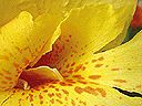 dscn3406