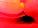 dscn3516