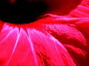 dscn4102