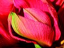 dscn4501