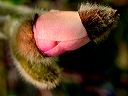 dscn4956
