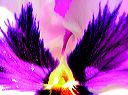 dscn5318