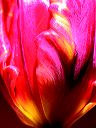 dscn5410
