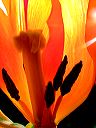dscn5759
