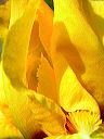 dscn6072