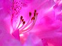 dscn6190