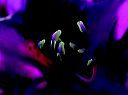 dscn6209