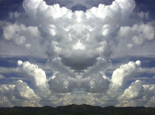 wolkenvogel.jpg